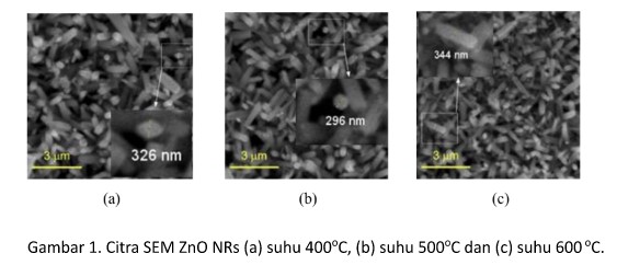 Development of Self-powered Photodetector as an Effort to Minimize The Dangers of Solar Radiation