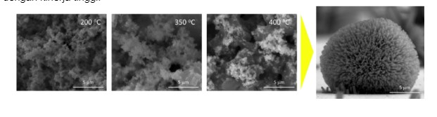 Development of High-Performance Solar Cells as an Effort to Fulfill Environmentally Friendly Energy