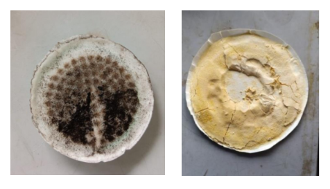 Departement of Chemistry UM Successfully Produced Nanomagnetite-CMKC-Pb-Badge (Pb-IIP) That Able to Bind Heavy Metals