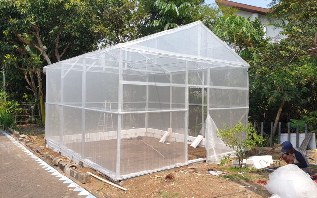 PENGEMBANGAN GREENHOUSE UNTUK OPTIMASI HASIL PRODUKSI TANAMAN KELOMPOK TANI CEMARA HIJAU FARM (CHF)