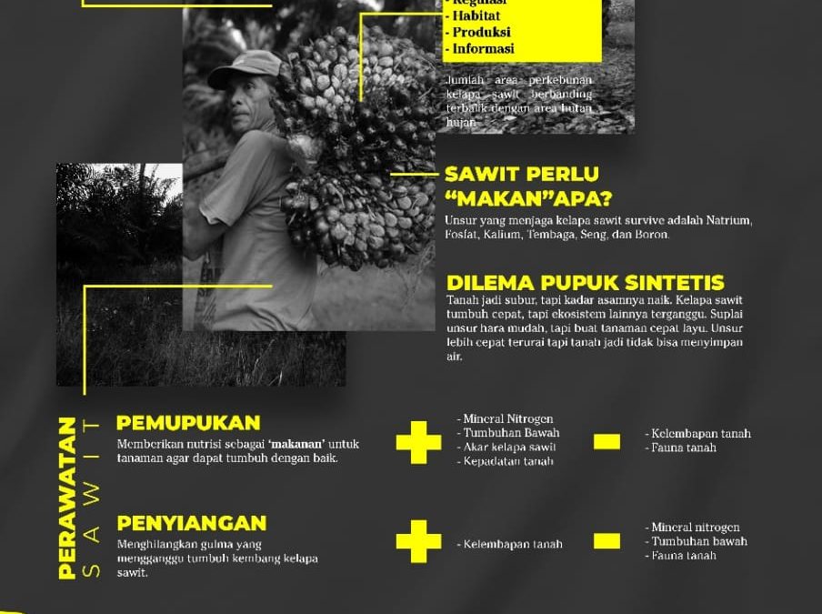 Bahas Implementasi Pengelolaan Kelapa Sawit, UM Jadi Bagian dalam Kolaborasi Tiga Universitas